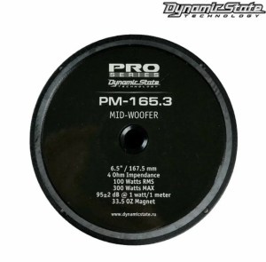 dynamic-state-pm-1653-1