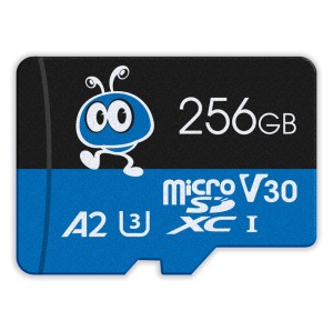 MicroSDXC 256GB 